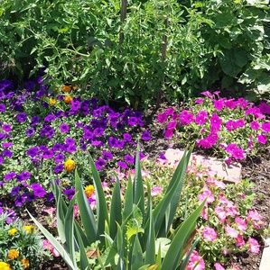 Meet your Posher, Beth